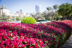 4034 by Beyoutiful Photography 08 december 2014