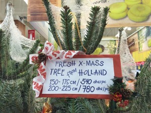 Blut - Annechien Lubbers