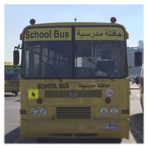 12558942_1555611668084803_1796885640_n